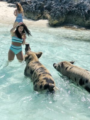 Play with the Locals on Pig Island