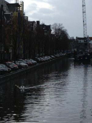 Explore the Canals in Amsterdam
