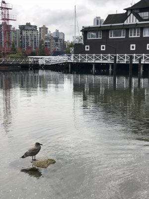 Coal Harbor, Vancouver