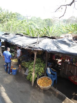 Shop Local Markets