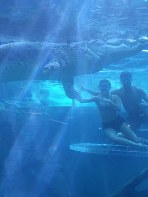 Swim with Crocodiles in Darwin, Australia