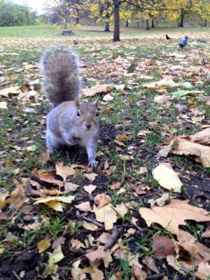 Visit Hyde Park in London, England