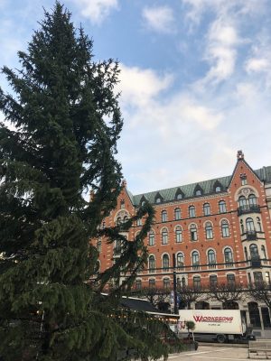 Kungstradgarden at Christmastime in Stockholm