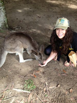 Play with Kangaroos in Sunshine Coast, Australia