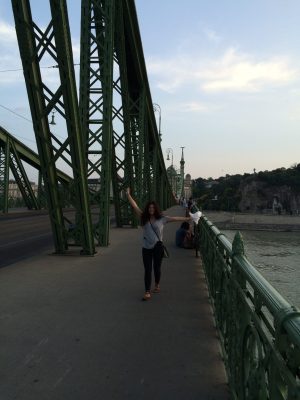 Walk Across the Budapest Bridge